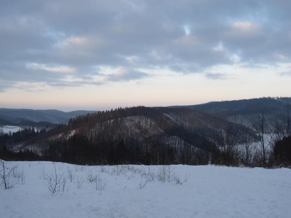 Chata Za Gorami Zagórze Śląskie Exterior foto